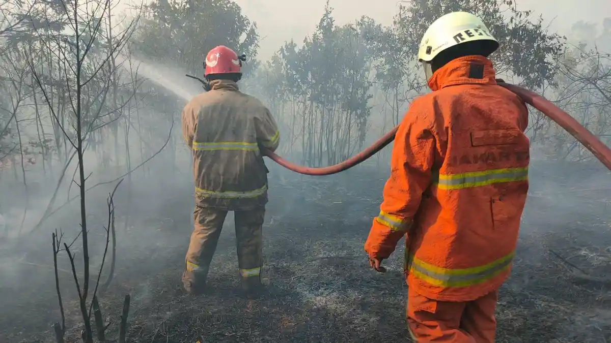 BPBD Kepri Catat 275 Bencana hingga Juni 2023, Kebakaran Lahan Mendominasi